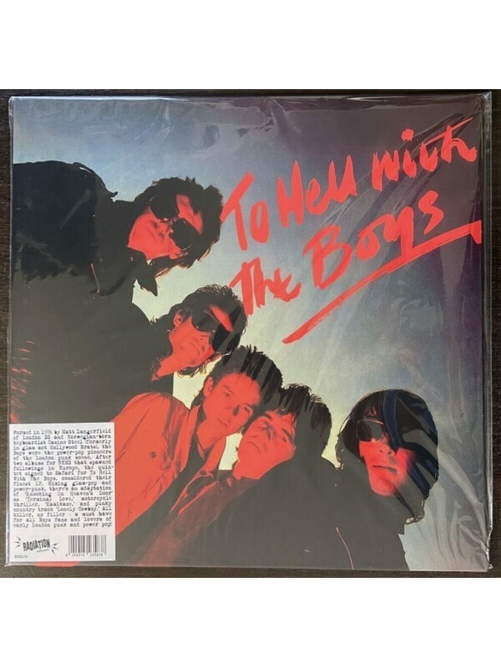 THE BOYS - TO HELL WITH THE BOYS VINYL LP RECORD punk new wave power pop reissue